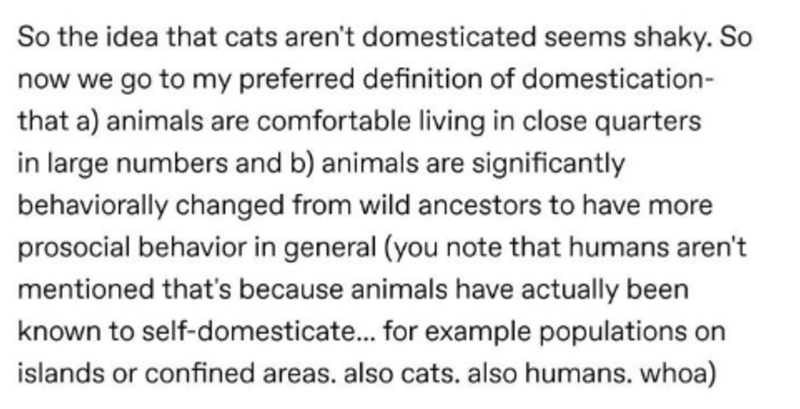 tom hanks quotes about irrfan khan - So the idea that cats aren't domesticated seems shaky. So now we go to my preferred definition of domestication that a animals are comfortable living in close quarters in large numbers and b animals are significantly b