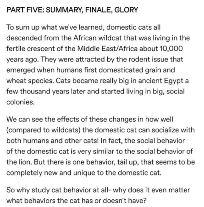 document - Part Five Summary, Finale, Glory To sum up what we've learned, domestic cats all descended from the African wildcat that was living in the fertile crescent of the Middle EastAfrica about 10,000 years ago. They were attracted by the rodent issue