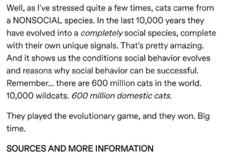 not say goodbye to the bad things - Well, as I've stressed quite a few times, cats came from a Nonsocial species. In the last 10,000 years they have evolved into a completely social species, complete with their own unique signals. That's pretty amazing. A