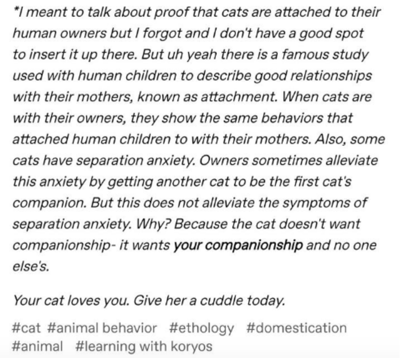 document - I meant to talk about proof that cats are attached to their human owners but I forgot and I don't have a good spot to insert it up there. But uh yeah there is a famous study used with human children to describe good relationships with their mot