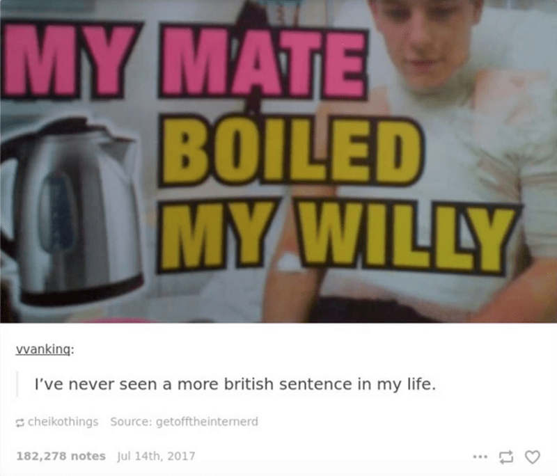 most british sentence ever - My Mate Boiled My Willy wanking I've never seen a more british sentence in my life. Scheikothings Source getofftheintemnerd 182,278 notes Jul 14th, 2017