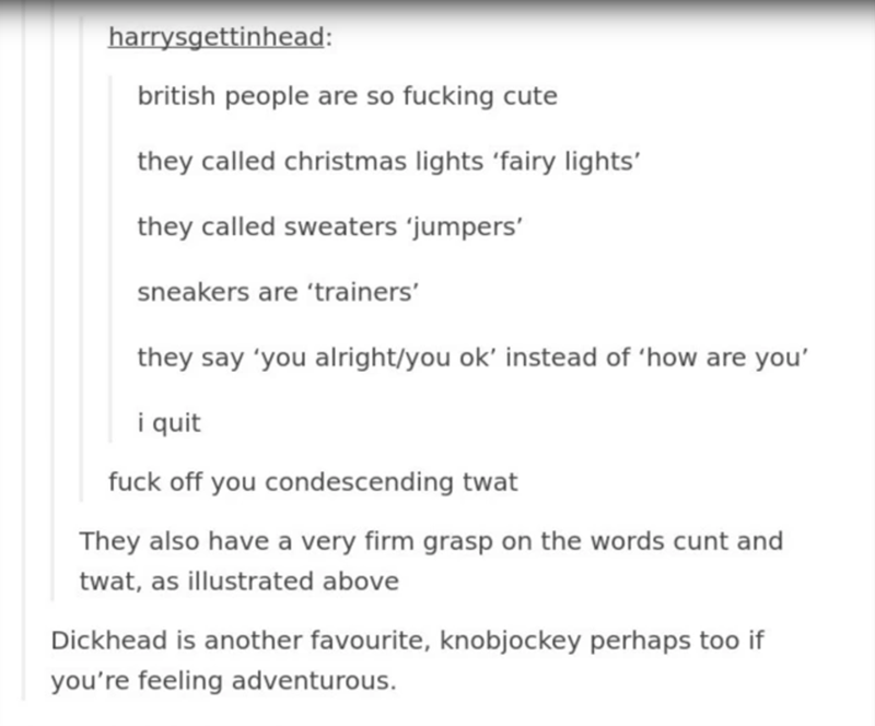 document - harrysgettinhead british people are so fucking cute they called christmas lights 'fairy lights' they called sweaters 'jumpers' sneakers are 'trainers' they say 'you alrightyou ok' instead of how are you' i quit fuck off you condescending twat T