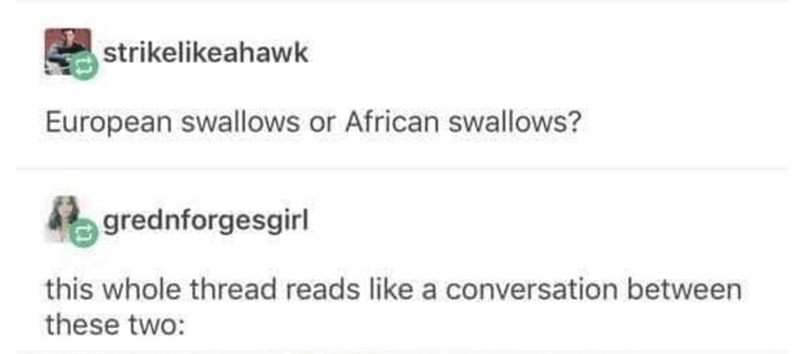 document - strikeahawk European swallows or African swallows? grednforgesgirl this whole thread reads a conversation between these two