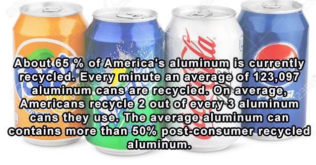 Écureuil mignon - About 65 % of America's aluminum is currently recycled. Every minute an average of 123,097 aluminum cans are recycled. On average, Americans recycle 2 out of every 3 aluminum cans they use. The average aluminum can contains more than 50%