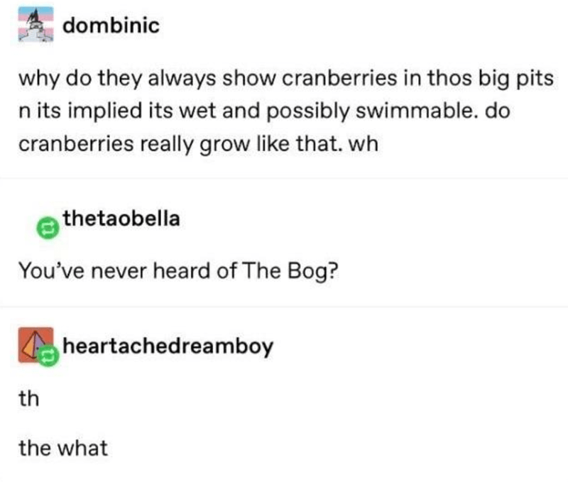 document - dombinic why do they always show cranberries in thos big pits n its implied its wet and possibly swimmable. do cranberries really grow that. wh thetaobella You've never heard of The Bog? heartachedreamboy th the what