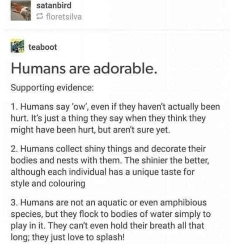 cute tumblr threads - satanbird floretsilva teaboot Humans are adorable. Supporting evidence 1. Humans say 'ow', even if they haven't actually been hurt. It's just a thing they say when they think they might have been hurt, but aren't sure yet. 2. Humans 