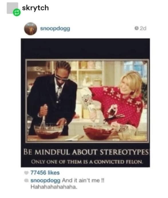 snoop dogg and martha stewart - skrytch snoopdogg 2d Be Mindful About Stereotypes Only One Of Them Is A Convicted Felon. 77456 snoopdogg And it ain't me!! Hahahahahahaha.