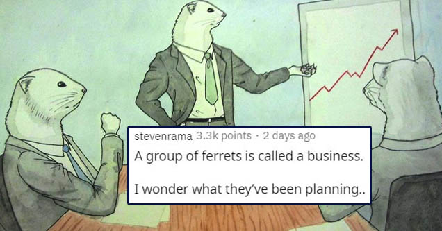 cartoon - stevenrama points . 2 days ago A group of ferrets is called a business. I wonder what they've been planning..