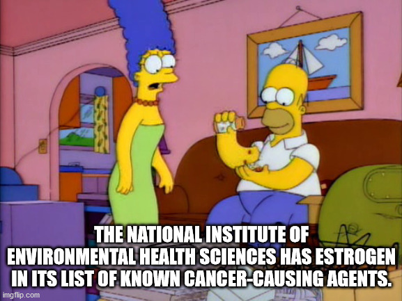 cartoon - The National Institute Of A Environmental Health Sciences Has Estrogen In Its List Of Known CancerCausing Agents. imgflip.com