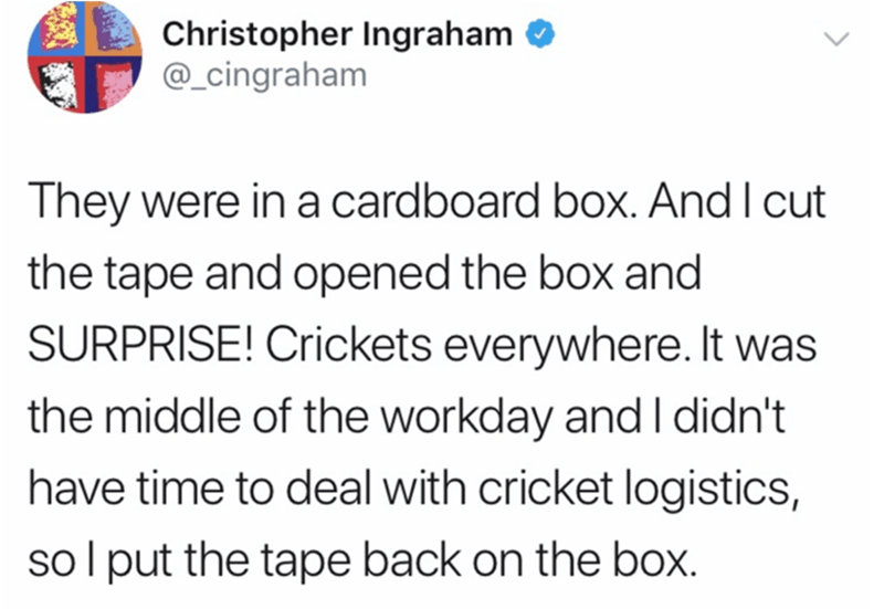 Christopher Ingraham They were in a cardboard box. And I cut the tape and opened the box and Surprise! Crickets everywhere. It was the middle of the workday and I didn't have time to deal with cricket logistics, sol put the tape back on the box.