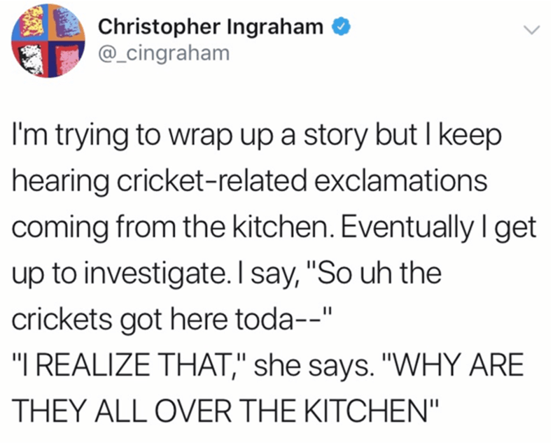Humour - Christopher Ingraham I'm trying to wrap up a story but I keep hearing cricketrelated exclamations coming from the kitchen. Eventually I get up to investigate. I say, 'So uh the crickets got here today' "I Realize That," she says. "Why Are They Al