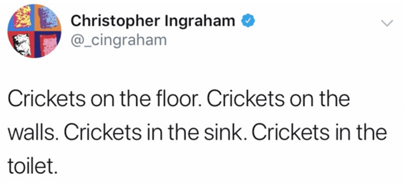 paper - Christopher Ingraham Crickets on the floor. Crickets on the walls. Crickets in the sink. Crickets in the toilet.