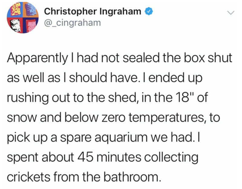 Christopher Ingraham Apparently I had not sealed the box shut as well as I should have. I ended up rushing out to the shed, in the 18" of snow and below zero temperatures, to pick up a spare aquarium we had. I spent about 45 minutes collecting crickets…