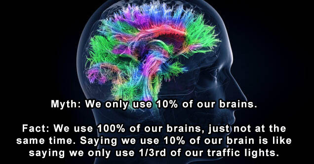 genius brain - Myth We only use 10% of our brains. Fact We use 100% of our brains, just not at the same time. Saying we use 10% of our brain is saying we only use 13rd of our traffic lights.