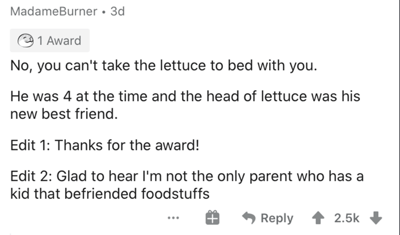 paper - MadameBurner 3d 1 Award No, you can't take the lettuce to bed with you. He was 4 at the time and the head of lettuce was his new best friend. Edit 1 Thanks for the award! Edit 2 Glad to hear I'm not the only parent who has a kid that befriended fo