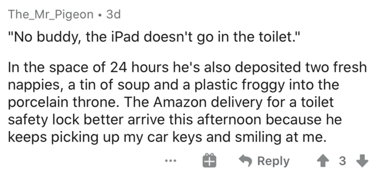 handwriting - The_Mr_Pigeon 3d 'No buddy, the iPad doesn't go in the toilet." In the space of 24 hours he's also deposited two fresh nappies, a tin of soup and a plastic froggy into the porcelain throne. The Amazon delivery for a toilet safety lock better