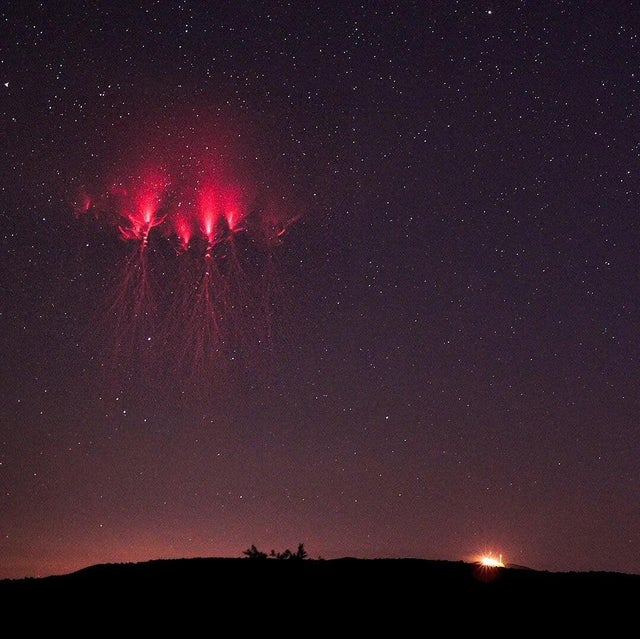 nature photo - red jellyfish lightning sprite