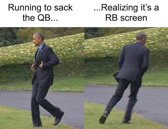 funny chihuahua - Running to sack the Qb... ... Realizing it's a Rb screen