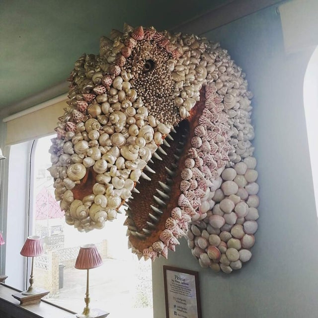 dinosaur made of shells