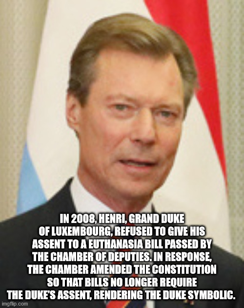 harry potter macros - In 2008, Henri, Grand Duke Of Luxembourg, Refused To Give His Assent To A Euthanasia Bill Passed By The Chamber Of Deputies. In Response, The Chamber Amended The Constitution So That Bills No Longer Require The Duke'S Assent, Renderi