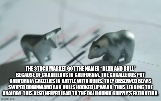 fauna - The Stock Market Got The Names Bear And Bull" Because Of Caballeros In California. The Caballeros Put California Grizzlies In Battle With Bulls. They Observed Bears Swiped Downward And Bulls Hooked Upward, Thus Lending The Analogy. This Also Helpe