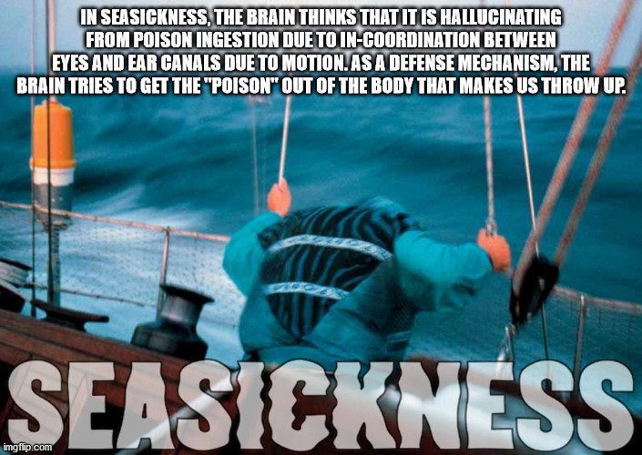 water - In Seasickness, The Brain Thinks That It Is Hallucinating From Poison Ingestion Due To InCoordination Between Eyes And Ear Canals Due To Motion. As A Defense Mechanism, The Brain Tries To Get The "Poison" Out Of The Body That Makes Us Throw Up. Go