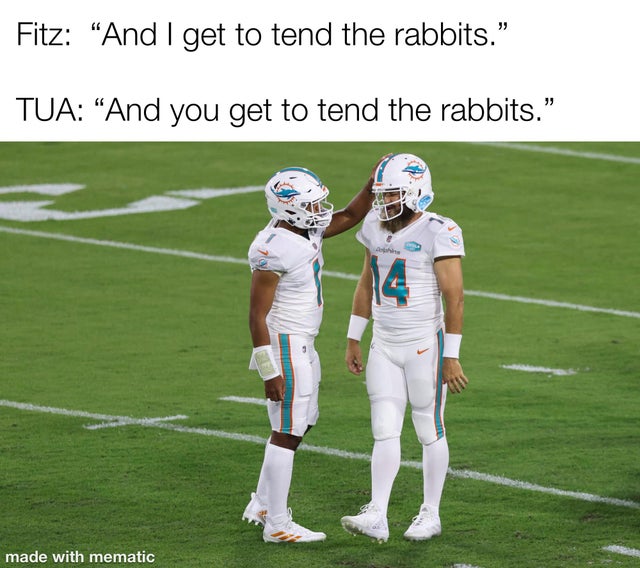 tua tagovailoa and ryan fitzpatrick - Fitz And I get to tend the rabbits." Tua And you get to tend the rabbits." made with mematic