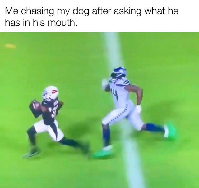 football player - Me chasing my dog after asking what he has in his mouth.