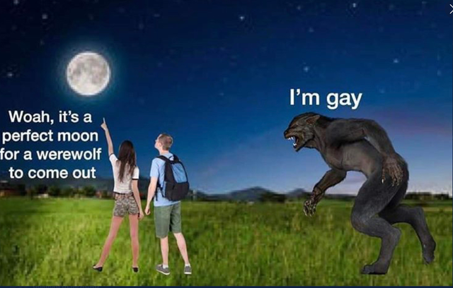 gay werewolf meme - I'm gay Woah, it's a perfect moon for a werewolf to come out