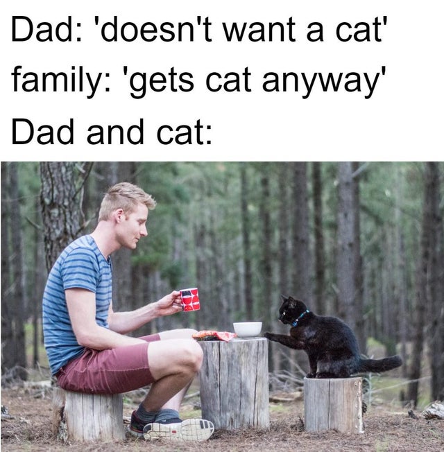 man and a cat - Dad 'doesn't want a cat' family 'gets cat anyway' Dad and cat