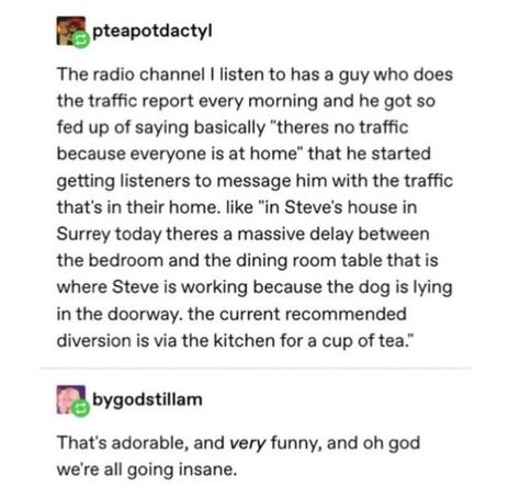 radio channel tumblr post - pteapotdactyl The radio channel I listen to has a guy who does the traffic report every morning and he got so fed up of saying basically "theres no traffic because everyone is at home" that he started getting listeners to messa