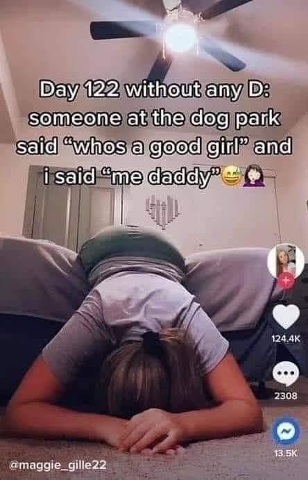 dirty memes - photo caption - Day 122 without any D someone at the dog park said "whos a good girl" and i said me daddy 2308 22