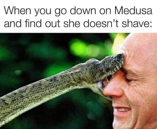 dirty memes - medusa doesnt shave meme - When you go down on Medusa and find out she doesn't shave