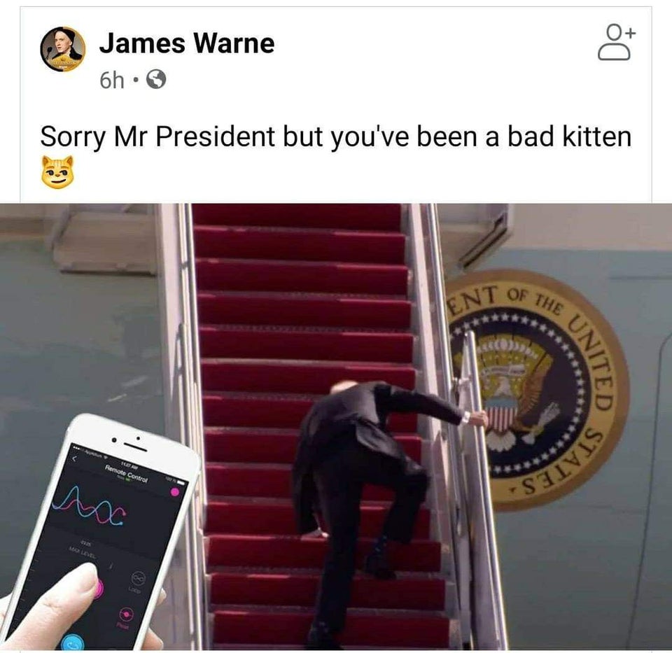 dirty memes - they warned you about the radical left - James Warne 6h. Sorry Mr President but you've been a bad kitten Of Ent The United Remote Control Stivis