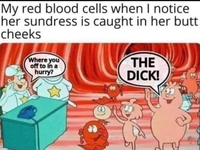 dirty memes - you going so fast meme - My red blood cells when I notice her sundress is caught in her butt cheeks where you off to In a hurry? The Dick! 09