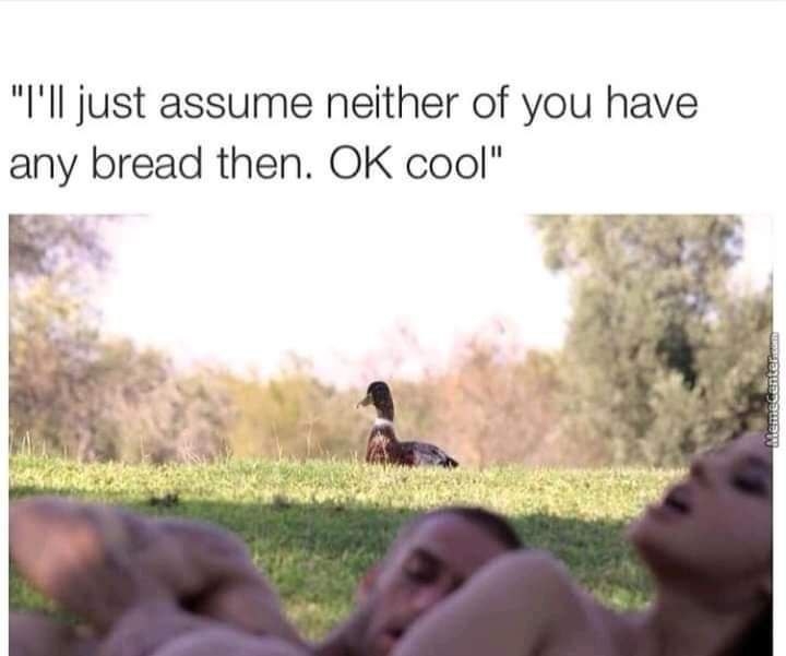 dirty memes - neither of you have bread meme - "I'll just assume neither of you have any bread then. Ok cool" Memecenter