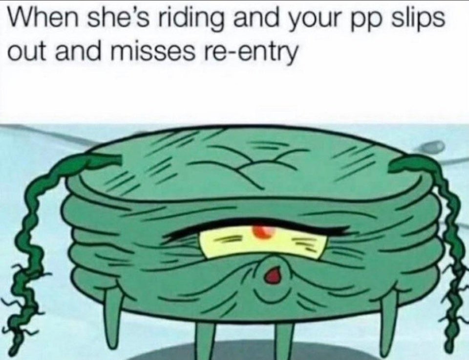 dirty memes - plays minecraft plankton memes - When she's riding and your pp slips out and misses reentry