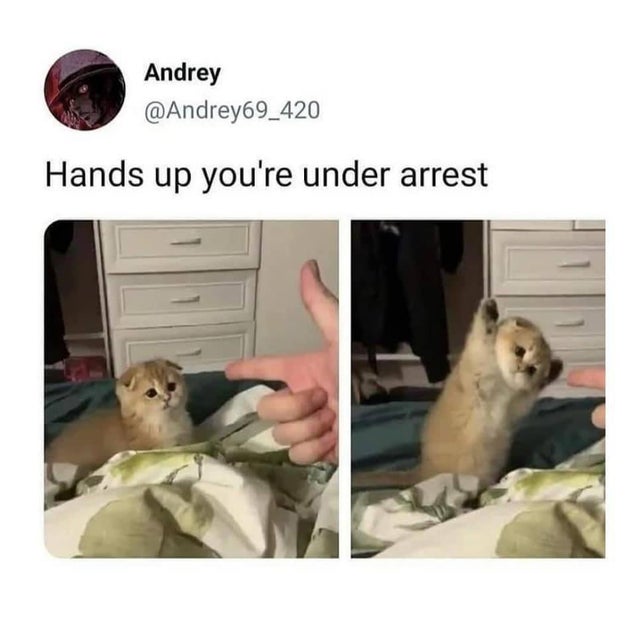 Andrey Hands up you're under arrest