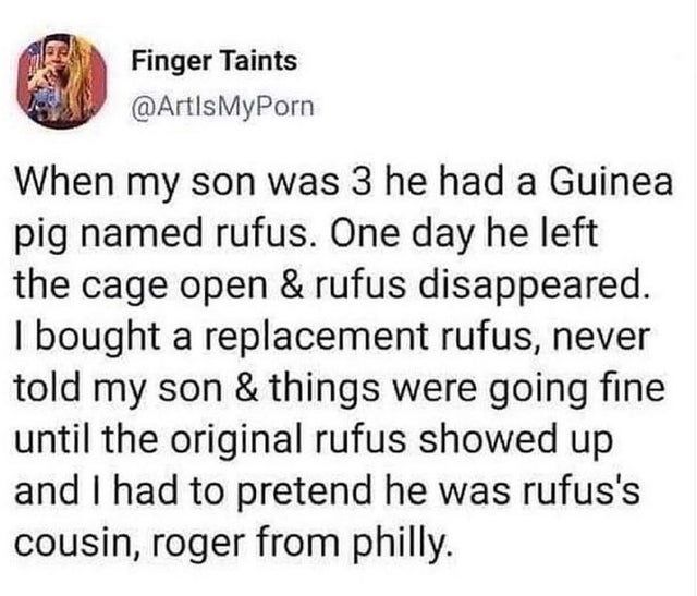 Finger Taints When my son was 3 he had a Guinea pig named rufus. One day he left the cage open & rufus disappeared. I bought a replacement rufus, never told my son & things were going fine until the original rufus showed up and I had to pretend he was…