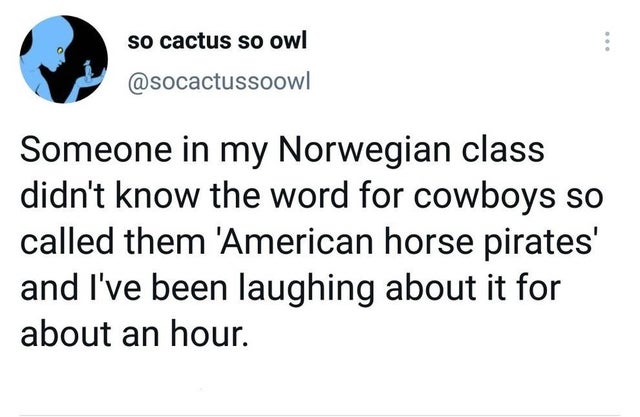 brain fart funny stories - so cactus so owl Someone in my Norwegian class didn't know the word for cowboys so called them 'American horse pirates' and I've been laughing about it for about an hour.