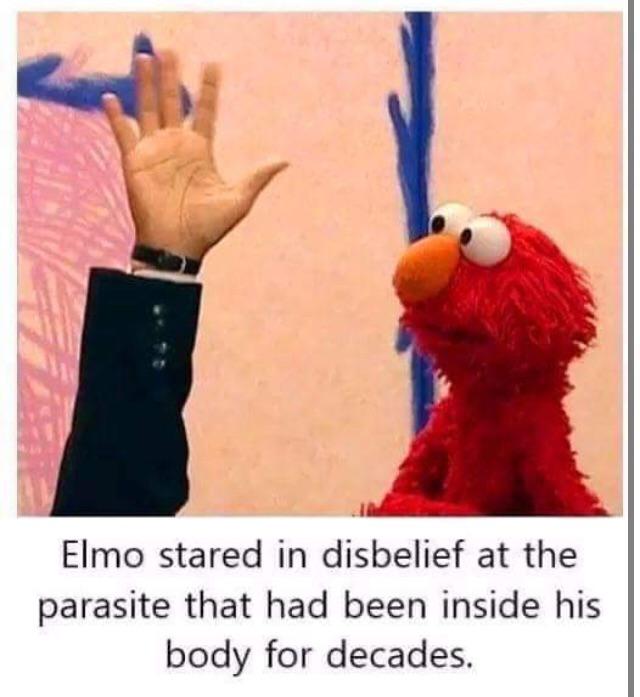 dark-memes elmo stared at parasite meme - Elmo stared in disbelief at the parasite that had been inside his body for decades.