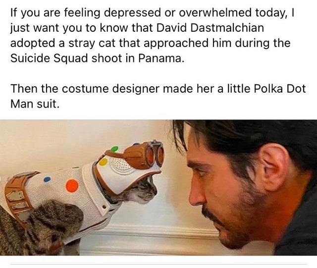 david dastmalchian cat polka dot man - If you are feeling depressed or overwhelmed today, I just want you to know that David Dastmalchian adopted a stray cat that approached him during the Suicide Squad shoot in Panama. Then the costume designer made her 