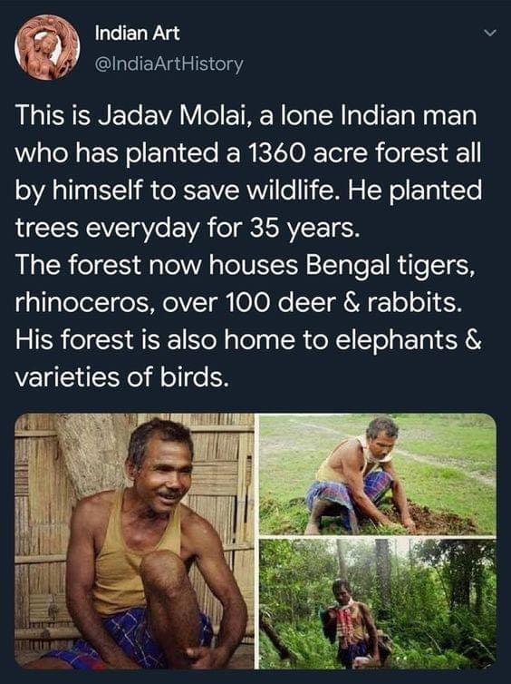 man who planted tree everyday for 35 years in india - Indian Art This is Jadav Molai, a lone Indian man who has planted a 1360 acre forest all by himself to save wildlife. He planted trees everyday for 35 years. The forest now houses Bengal tigers, rhinoc