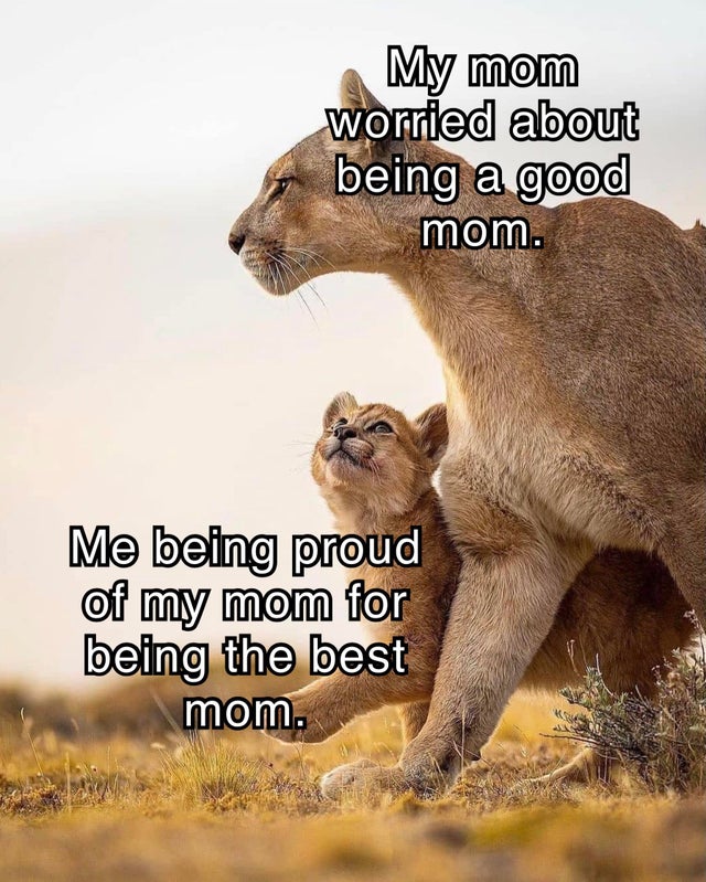 My mom worried about being a good mom. Me being proud of my mom for being the best mom.