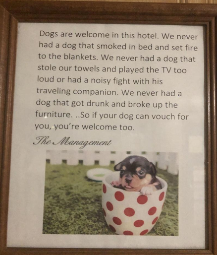 take care of a puppy - Dogs are welcome in this hotel. We never had a dog that smoked in bed and set fire to the blankets. We never had a dog that stole our towels and played the Tv too loud or had a noisy fight with his traveling companion. We never had 