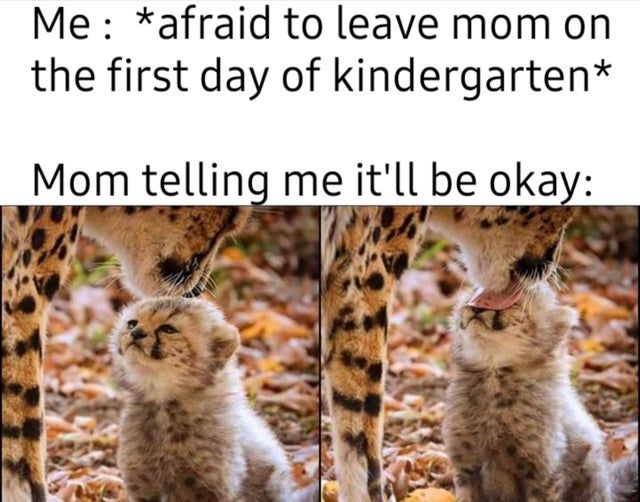 cheetah cub cleanse me mother - Me afraid to leave mom on the first day of kindergarten Mom telling me it'll be okay