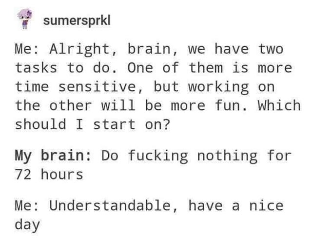 alright brain we have two tasks to do - sumersprkl Me Alright, brain, we have two tasks to do. One of them is more time sensitive, but working on the other will be more fun. Which should I start on? My brain Do fucking nothing for 72 hours Me Understandab