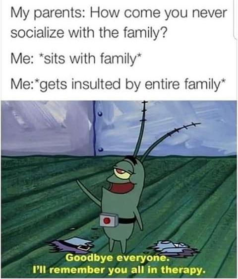 ll remember you all in therapy meme - My parents How come you never socialize with the family? Me sits with family Megets insulted by entire family Goodbye everyone. P'll remember you all in therapy.