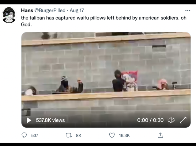 video - . Hans Pilled Aug 17 the taliban has captured waifu pillows left behind by american soldiers. oh God. views 10 537 t