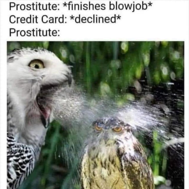 dirty memes-Prostitute finishes blowjob Credit Card declined Prostitute